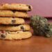 Marijuana Munchies Aren’t Just for Humans: Animals Get Them Too, International Study Finds