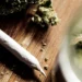 Could Cannabis Use Be Linked to Higher Testosterone in Young Men? A New Perspective