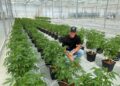 Glass House Set To Begin Trading On NYSE