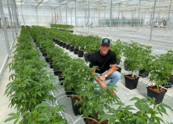 Glass House Set To Begin Trading On NYSE