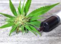 Sharon Stone’s Weed Withdrawal Experience Highlights Risks of Today’s Potent Marijuana