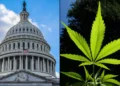 Congress Proposes Bipartisan Bill to Regulate Hemp-Derived THC Products with New Taxes