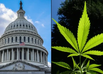 Congress Proposes Bipartisan Bill to Regulate Hemp-Derived THC Products with New Taxes