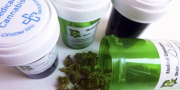 Why Cannabis Use Disorder Is Rising and What It Means for Public Health