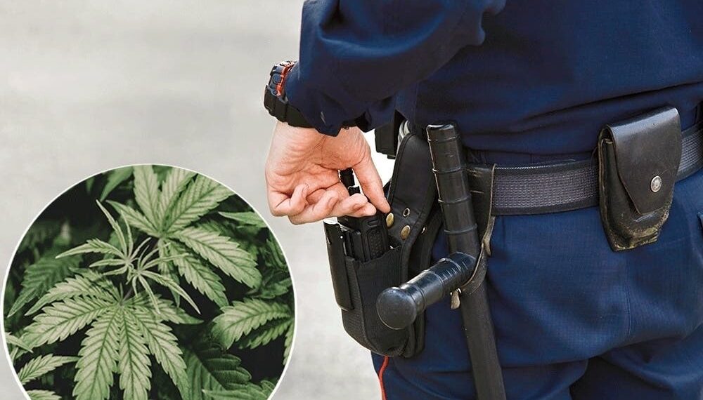 Over 200,000 Marijuana Possession Arrests in the U.S. Signal Persistent Enforcement Challenges