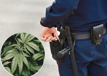 Over 200,000 Marijuana Possession Arrests in the U.S. Signal Persistent Enforcement Challenges
