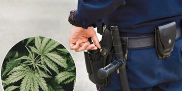 Over 200,000 Marijuana Possession Arrests in the U.S. Signal Persistent Enforcement Challenges