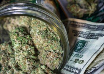 California is no longer the largest cannabis market in the world