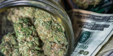 California is no longer the largest cannabis market in the world