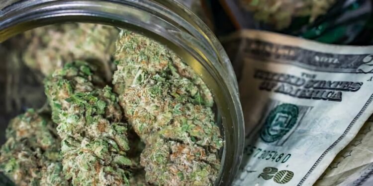 California is no longer the largest cannabis market in the world