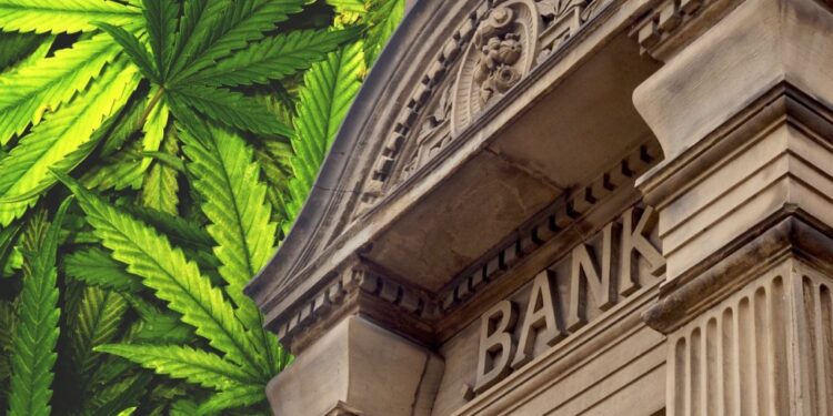 Federal Report Reveals Persistent Banking Barriers for Marijuana Businesses