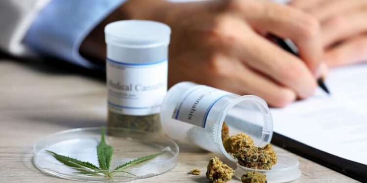 How Medical Cannabis is Impacting Pain, Sleep, and Mood in Older Adults