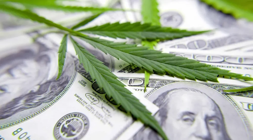 Unlocking Growth: The Rising Economic Impact of the U.S. Hemp Cannabinoid Sector