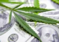 Unlocking Growth: The Rising Economic Impact of the U.S. Hemp Cannabinoid Sector