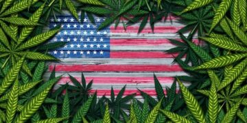 Most Americans think Cannabis is safe according to new poll