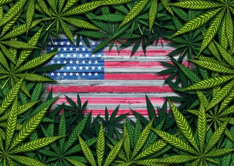 Most Americans think Cannabis is safe according to new poll