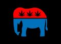 PAC with connections to Trump used money from weed businesses to fund anti-legalization politicians