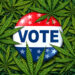 Cannabis Policy Influences Voter Decisions: 78% of Consumers Say It’s a Dealbreaker